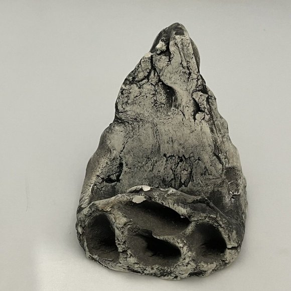 Shapes Of Clay By Stan Langtwait Mount St Helen Ash Native American Chief Joseph - Picture 12 of 16